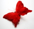 Veren vlinder rood met kraaltjes